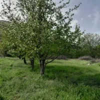 زمین سو