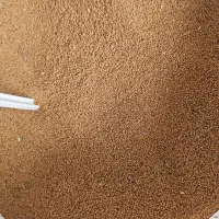 بذر کاملینا