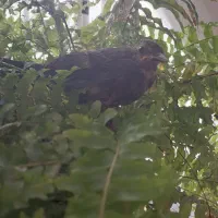 مشارکت در ساخت