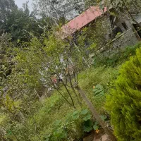 زمین ویلایی ۲۰۰ متری در بلوار جوان پشت دانشگاه هنر