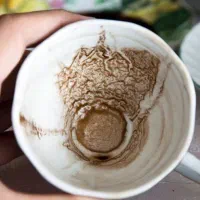 فال و سر‌کتاب