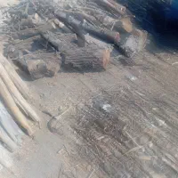 خریدار چوب