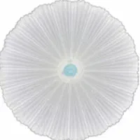 چراغ سقفی سه حالته|لوستر و چراغ آویز|مشهد, چهارباغ|دیوار