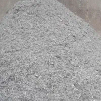 تفاله چغندر تر