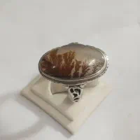 شجر|جواهرات|قزوین, |دیوار