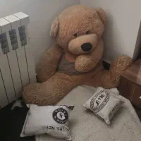 عروسک تدی بزرگ با تعدادی عروسک و ماشین همه باهم