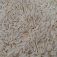 برنج هاشمی معطر درجه 1