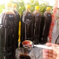 فروش رب انار و آب انار