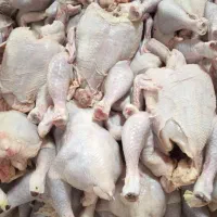 نیرو بسته بندی کشتارگاه مرغ