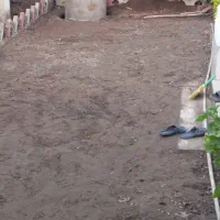 خدمات بنایی موزایک