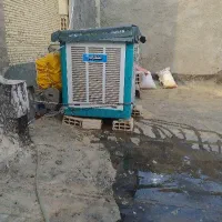 کولرابی