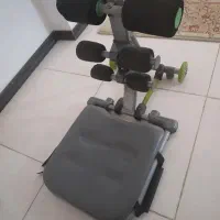 دراز نشست تن تاک