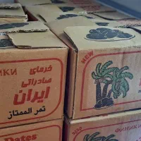خرمای نوبار مرداب سنگ فرد اعلا|خوردنی و آشامیدنی|قم, وادی السلام|دیوار