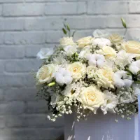 گل فروشی ماه و ماهی|گل و گیاه طبیعی|تهران, چیتگر شمالی|دیوار