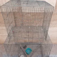 قفس پرنده