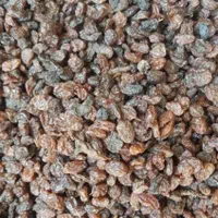 کشمش|خوردنی و آشامیدنی|هشتگرد, هشتگرد قدیم|دیوار