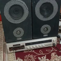 ظبط