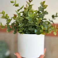 گلدان و ریسه شمشاد مصنوعی با قیمت پایین