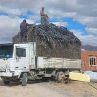 خریدار ضایعات نوار طیف|خدمات باغبانی و درختکاری|کبودرآهنگ, |دیوار