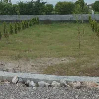 زمین-باپتانسیل-بالای-سرمایه-گذاری