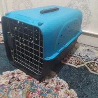 باکس خارجی گربه