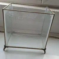 اکواریم ماهی