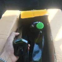 زیتون و روغن زیتون طارم|خوردنی و آشامیدنی|رشت, چله خانه|دیوار