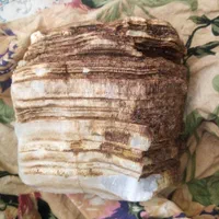 سنگ به وزن بیشتر از دوکیلو