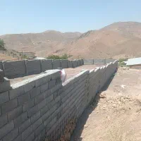 زمین تخت