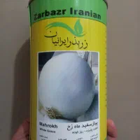 بذرپیاز روزکوتاه ماهرخ|گل و گیاه طبیعی|شیراز, بازار|دیوار