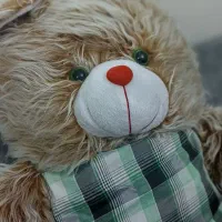 خرس بزرگ|اسباببازی|تهران, مختاری|دیوار