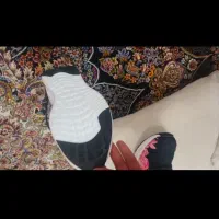 شیش جفت کتونی اورجینال خارجی آدیداس و نایک|کیف، کفش، کمربند|تهران, آذری|دیوار