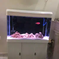 آکواریوم دلسا مدل k1000