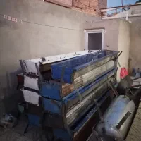 اخور گوسفندی گاوی