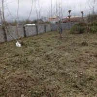 علفزنی یا علفتراشی|خدمات باغبانی و درختکاری|چابکسر, |دیوار