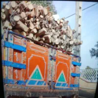 خرید چوب مرکبات