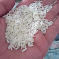 برنج هاشمی|خوردنی و آشامیدنی|رشت, منظریه|دیوار