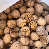 سلام تمیز گردو