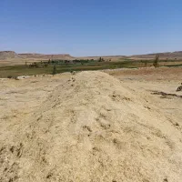 کاه|لوازم جانبی حیوانات|کبودرآهنگ, |دیوار