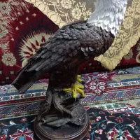 دکوری