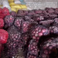 پیاز قرمز|حراج|میاندوآب, |دیوار