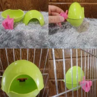 آبخوری اتوماتیک دانخوری قفس مرغ کبوتر بلدرچین طوطی|لوازم جانبی حیوانات|اصفهان, هزارجریب|دیوار