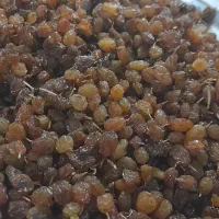 کشمش پلویی قوچان|خوردنی و آشامیدنی|مشهد, بهمن|دیوار