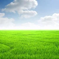 شهسوار۴۵۰ متر زمین با سند تکبرگ و دیوار کشی