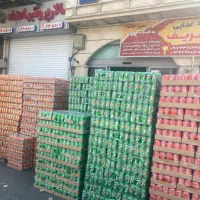 قوطی کوکا زیر قیمت|عمده‌فروشی|باغستان, |دیوار