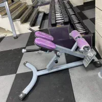 فروش ویژه دستگاه بدنسازی فیله کمر با بهترین قیمت