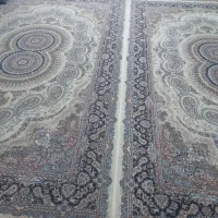 فرش کرم تمیز در حد نو|فرش|لامرد, |دیوار