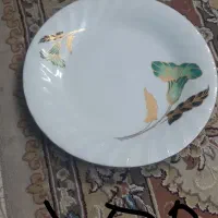 تعدادی ظروف نونو|ظروف سرو و پذیرایی|شیراز, احمدآباد|دیوار