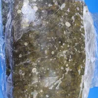 گیاه کما تمیز و آبپز و فریز شده