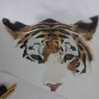 تابلو نقاشی 50*70|تابلو، نقاشی، عکس|بندرعباس, |دیوار